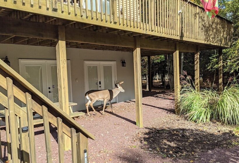 Mews Mountain House By Avantstay Walk To Beach, Hot Tub, Game Room