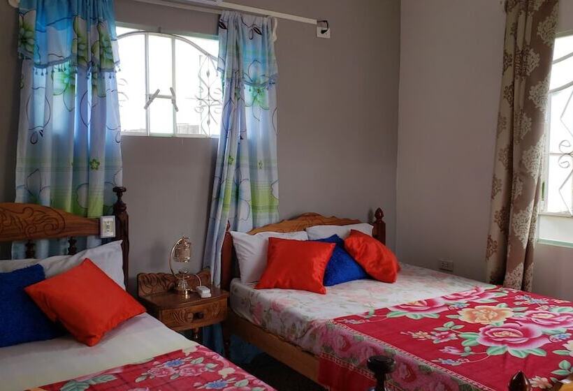 پانسیون Hostal Nelffis Viñales