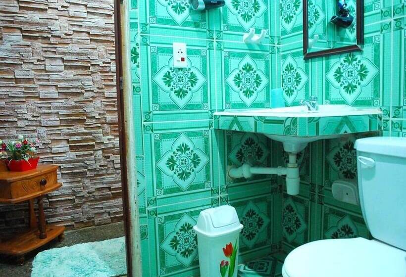 پانسیون Hostal Nelffis Viñales