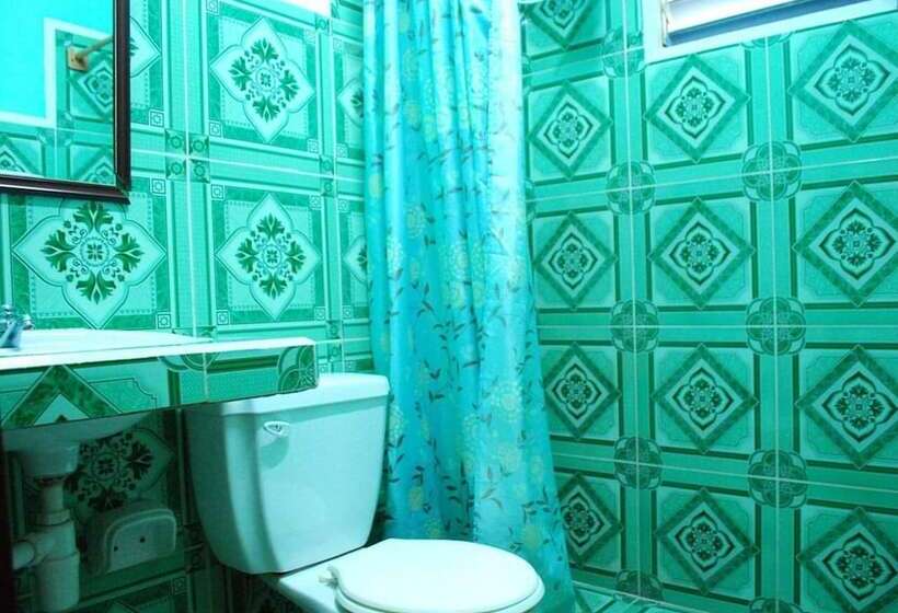 پانسیون Hostal Nelffis Viñales