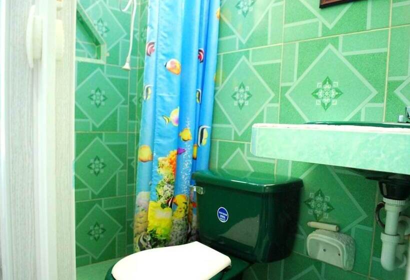 پانسیون Hostal Nelffis Viñales