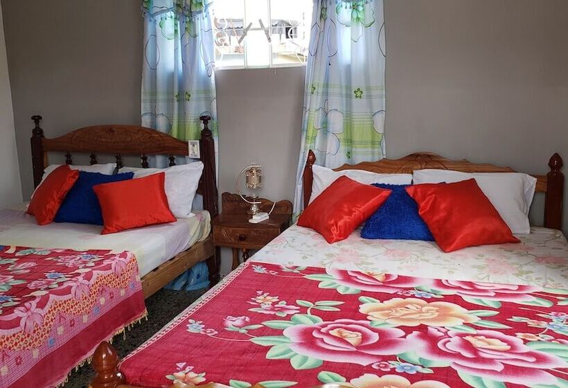 پانسیون Hostal Nelffis Viñales