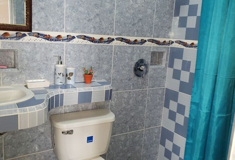 پانسیون Hostal Nelffis Viñales