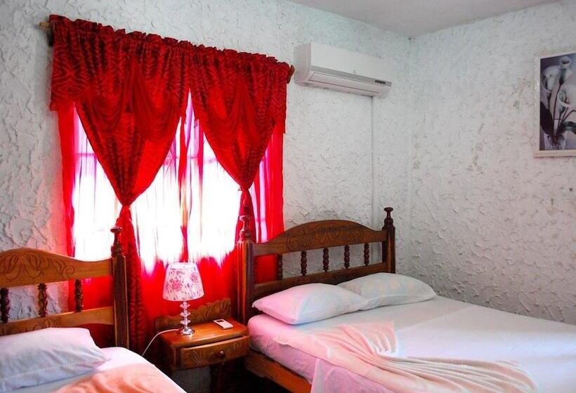 پانسیون Hostal Nelffis Viñales