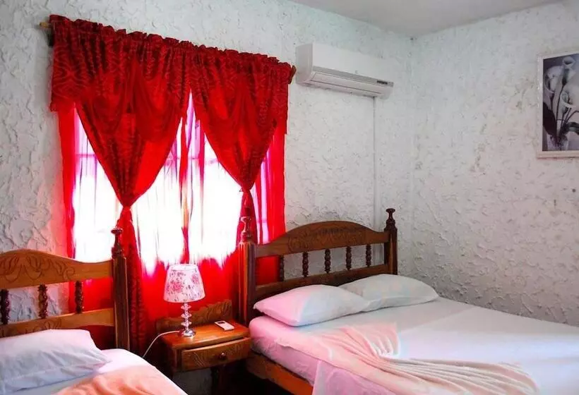 Majatalo Hostal Nelffis Viñales
