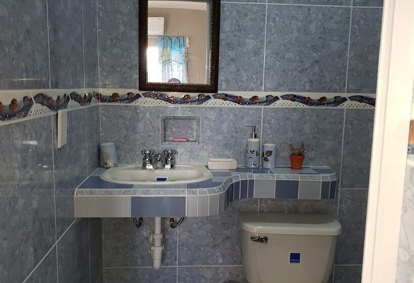 پانسیون Hostal Nelffis Viñales