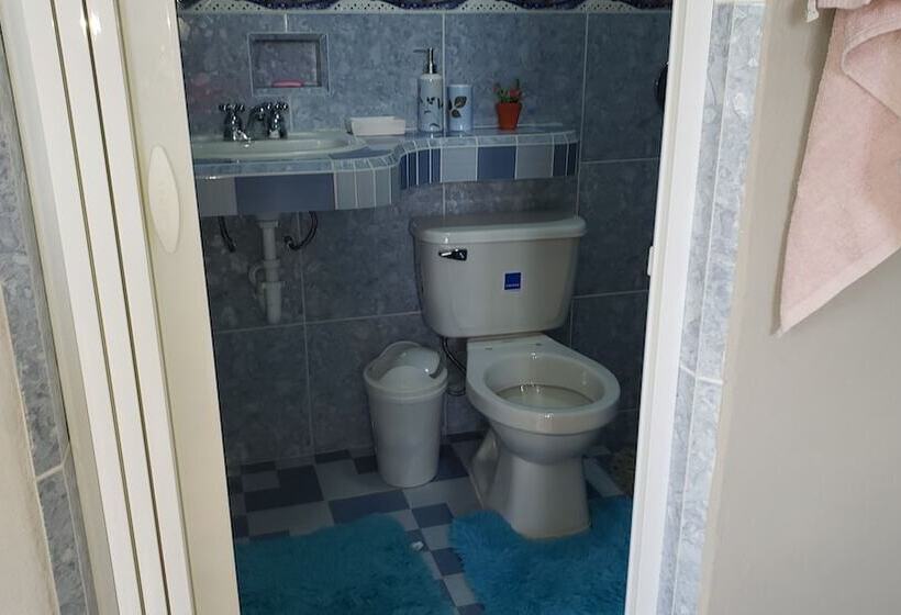 پانسیون Hostal Nelffis Viñales