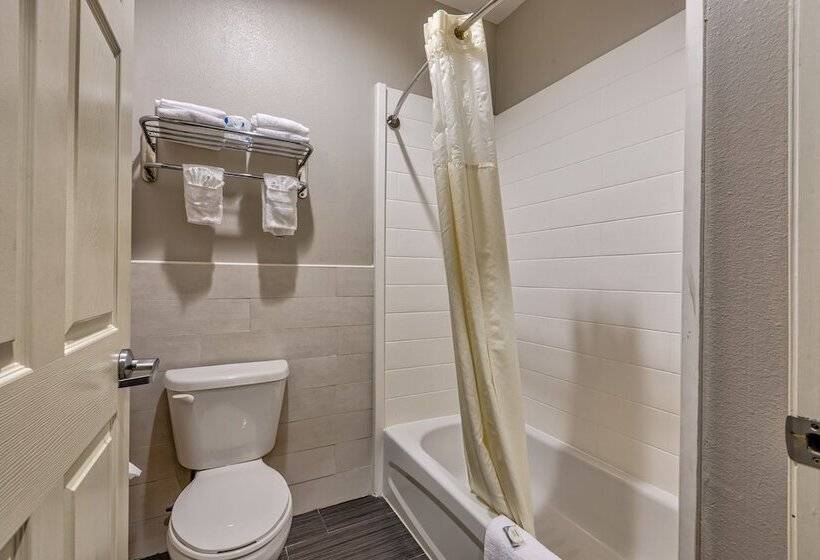 هتل Americas Best Value Inn And Suites Iah Airport North