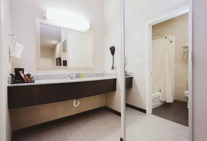 هتل Americas Best Value Inn And Suites Iah Airport North