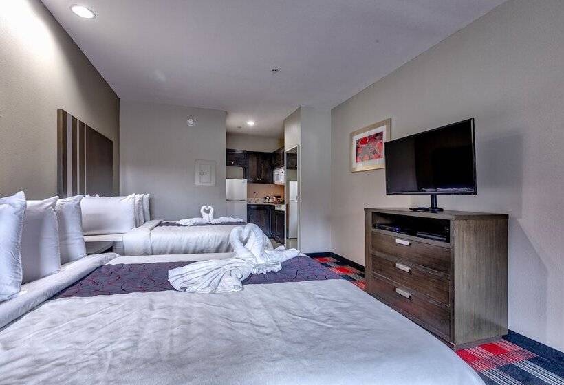 هتل Americas Best Value Inn And Suites Iah Airport North