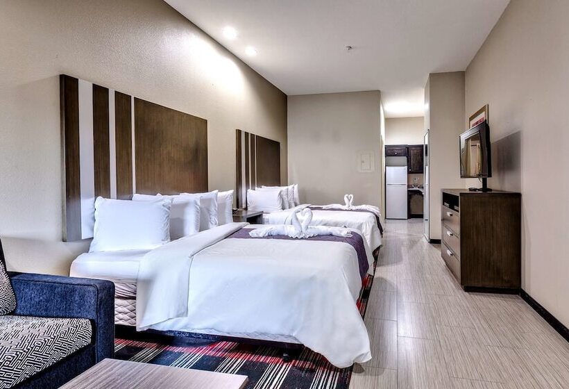 هتل Americas Best Value Inn And Suites Iah Airport North
