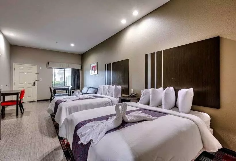هتل Americas Best Value Inn And Suites Iah Airport North