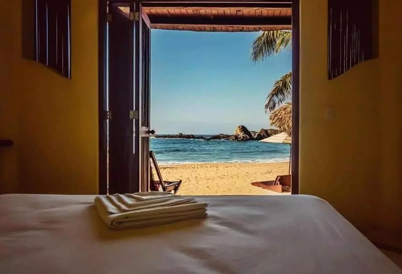 ホテル Cabañas Punta Placer