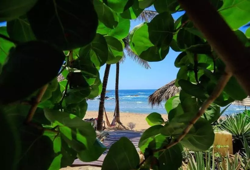 ホテル Cabañas Punta Placer