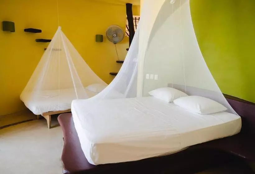 ホテル Cabañas Punta Placer