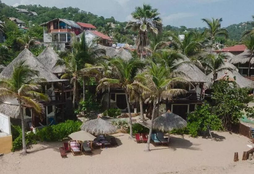 ホテル Cabañas Punta Placer