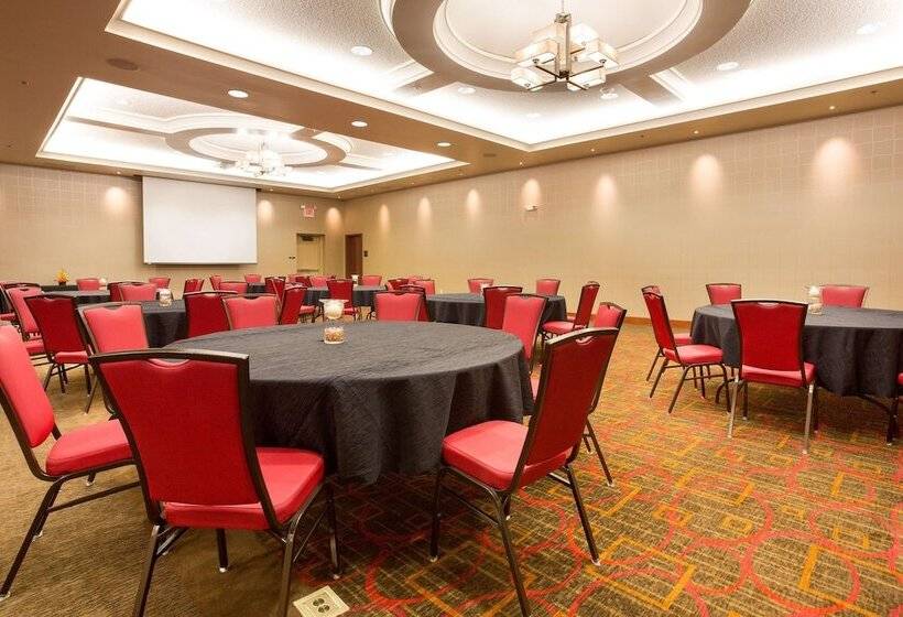 Drury Plaza Hotel Indianapolis Carmel