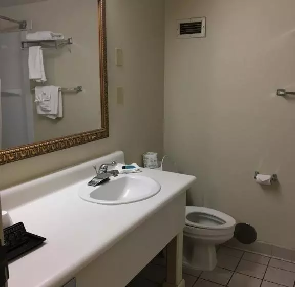 ホテル Econo Lodge Inn & Suites Radfordblacksburg Area