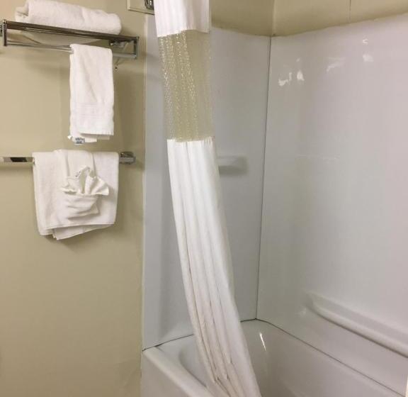 호텔 Econo Lodge Inn & Suites Radfordblacksburg Area