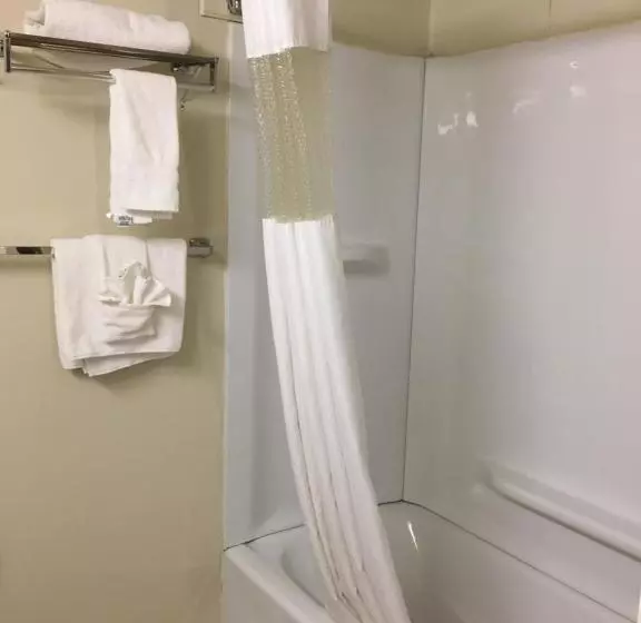 ホテル Econo Lodge Inn & Suites Radfordblacksburg Area