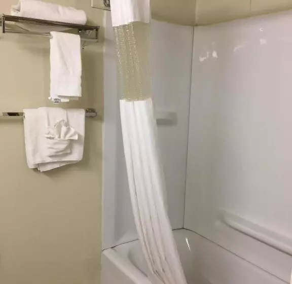 ホテル Econo Lodge Inn & Suites Radfordblacksburg Area