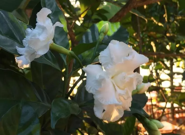 هتل Hostería De Río   C92