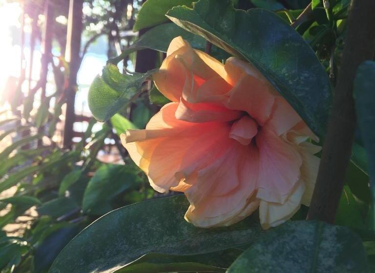 فندق Hostería De Río C92