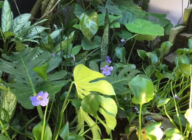 فندق Hostería De Río C92