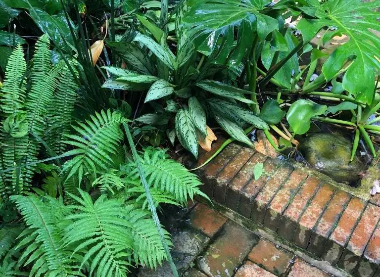 هتل Hostería De Río   C92