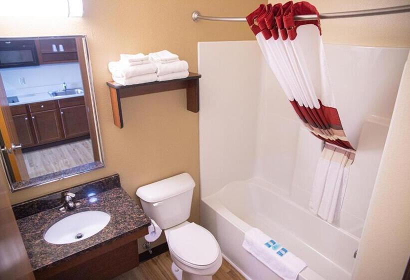 فندق White House Suites