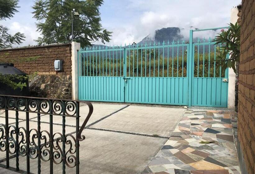 Paradise Hotel Boutique & Lounge