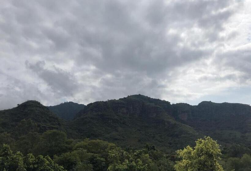 Paradise Hotel Boutique & Lounge