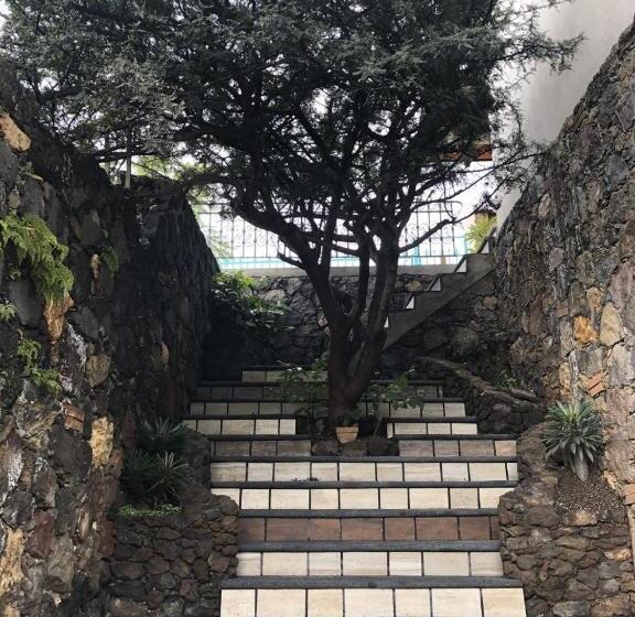 Paradise Hotel Boutique & Lounge