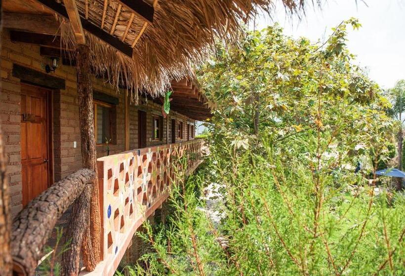 Paradise Hotel Boutique & Lounge