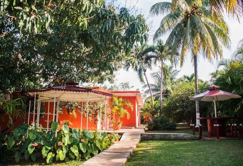 Bed and Breakfast Hostal Doña Amalia Cuba