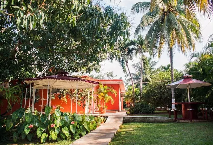 ベッドアンドブレックファースト Hostal Doña Amalia Cuba