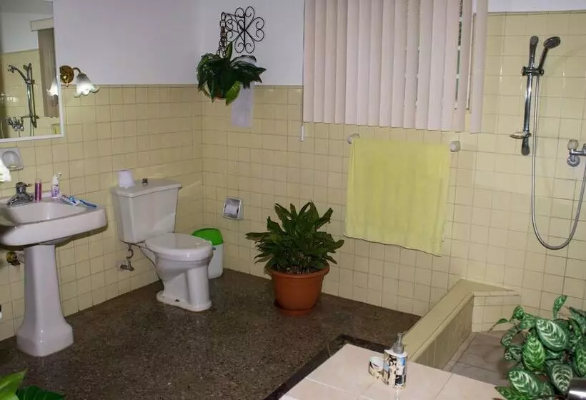 ベッドアンドブレックファースト Hostal Doña Amalia Cuba