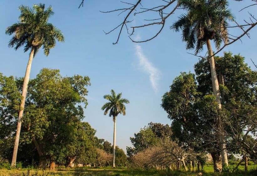 Bed and Breakfast Hostal Doña Amalia Cuba