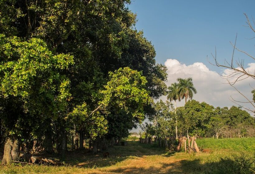 Bed and Breakfast Hostal Doña Amalia Cuba