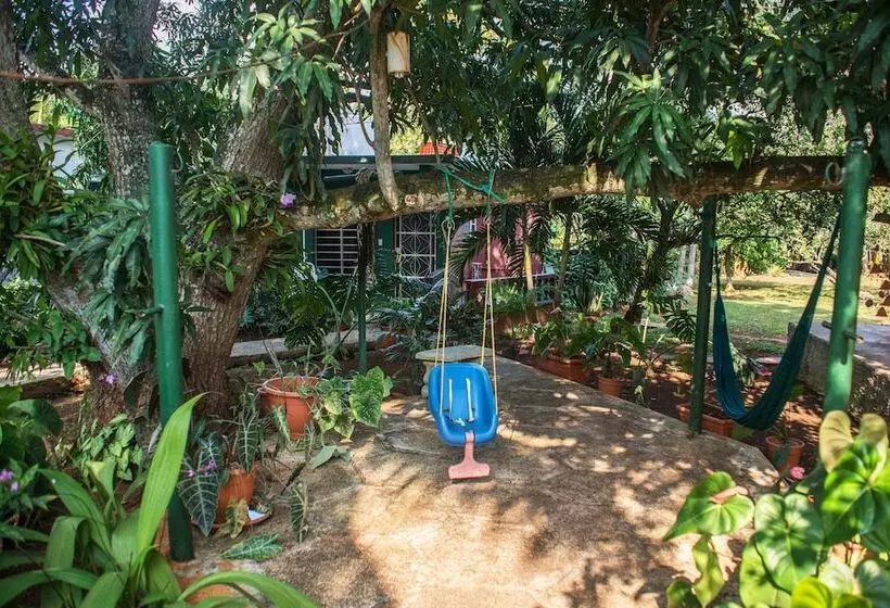 ベッドアンドブレックファースト Hostal Doña Amalia Cuba