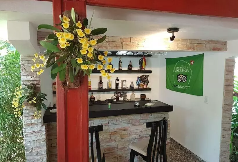 ベッドアンドブレックファースト Hostal Doña Amalia Cuba