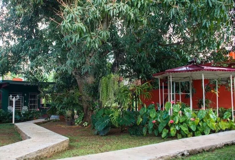 ベッドアンドブレックファースト Hostal Doña Amalia Cuba