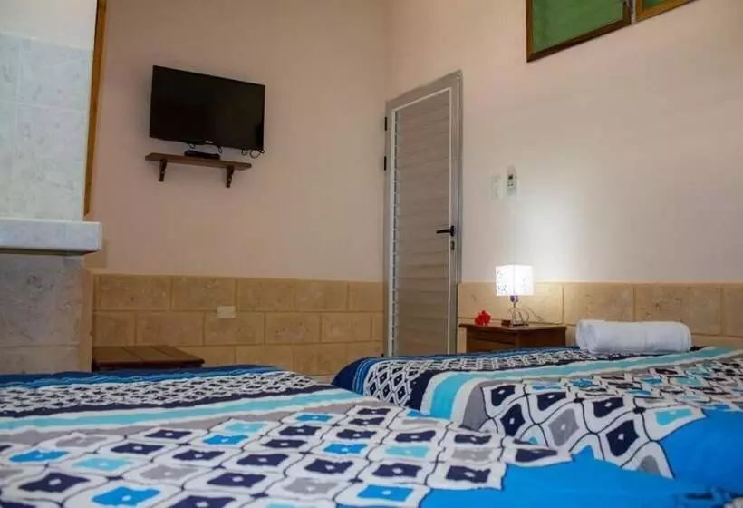 Hostal V&b