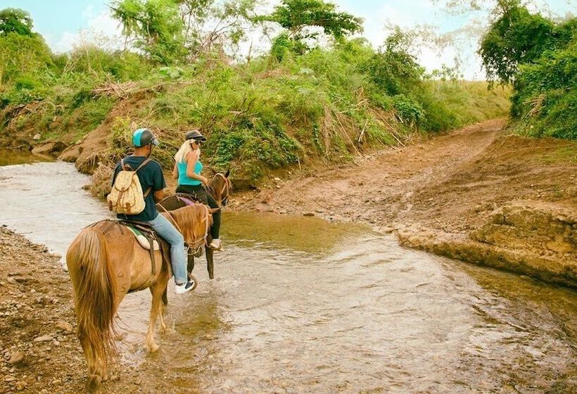 پانسیون Hostal Chinitos