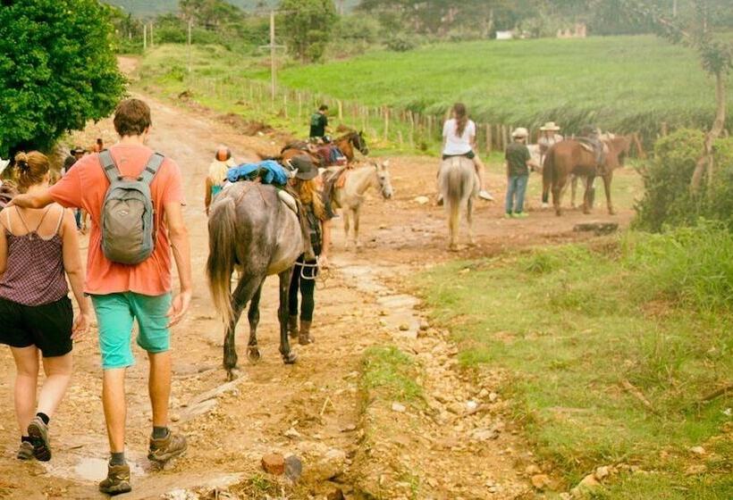 پانسیون Hostal Chinitos