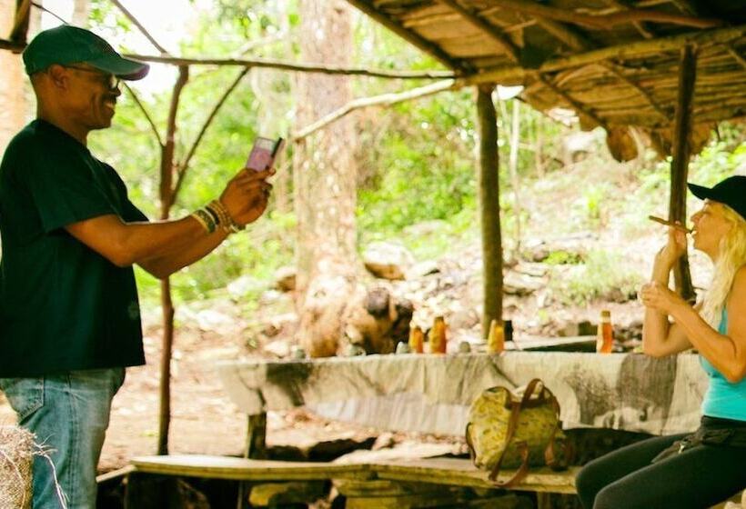 پانسیون Hostal Chinitos