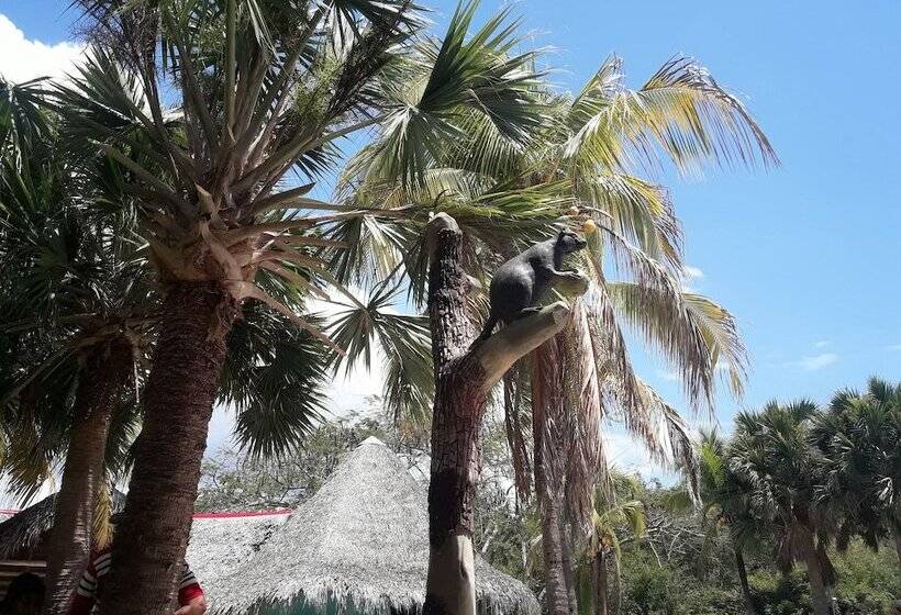 پانسیون Hostal Chinitos