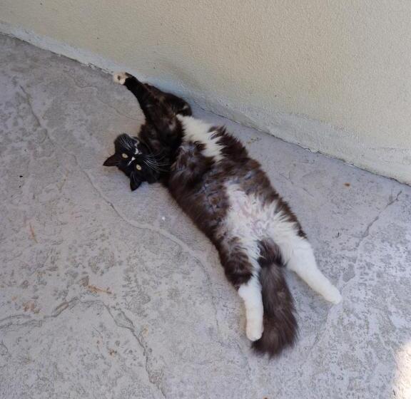 Nocleg ze śniadaniem Casa Di Tuco