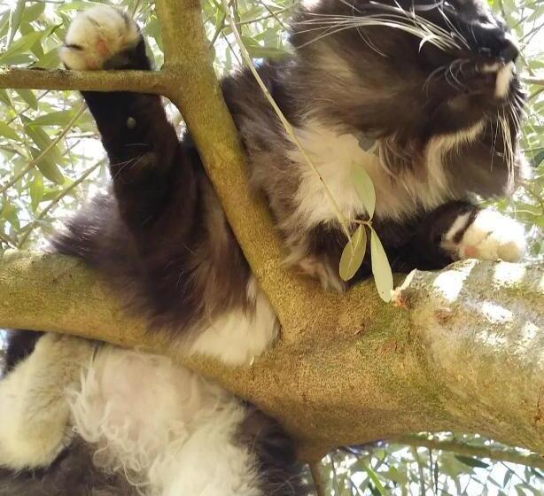 Nocleg ze śniadaniem Casa Di Tuco