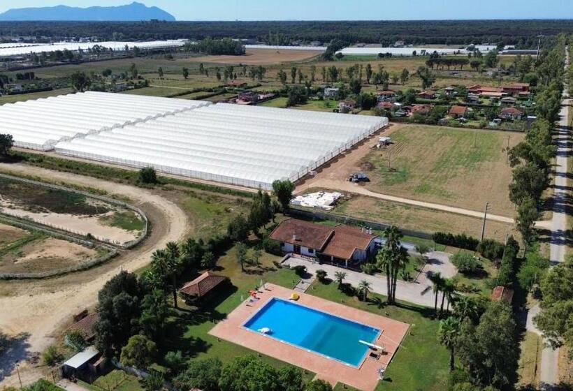 تختخواب و صبحانه Villa Garden